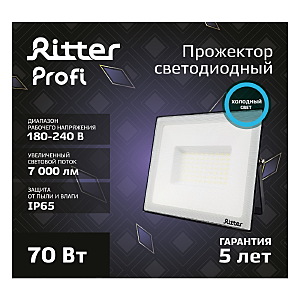 Прожектор уличный Ritter 53409 3